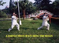 Tai-

Chi